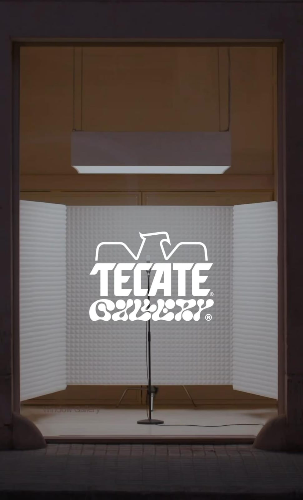 Tecate Pa’l Norte 2025 anuncia un nuevo escenario y tres ediciones especiales de cervezas exclusivas para el festival