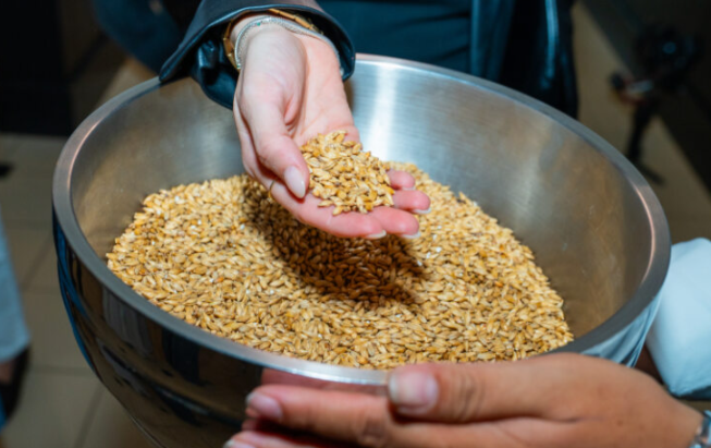El poder de la malta: el grano que define lo que significa una cerveza de calidad